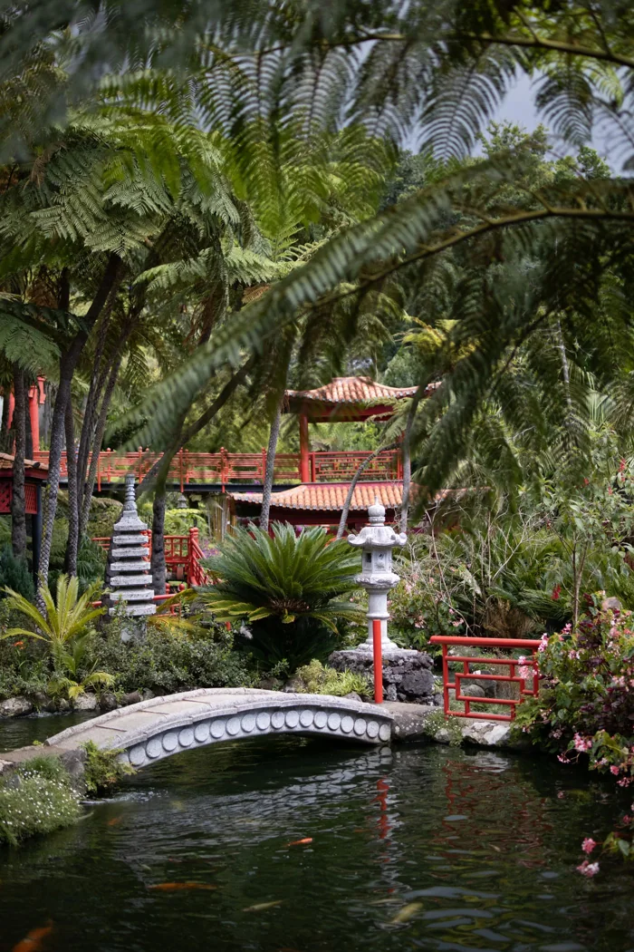Garden bridge and pond at Monte Palace in Funchal