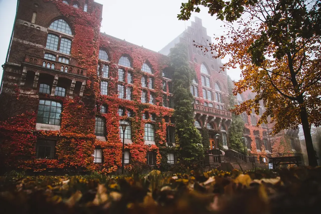 Lund University Library with autumn ivy covering its façade