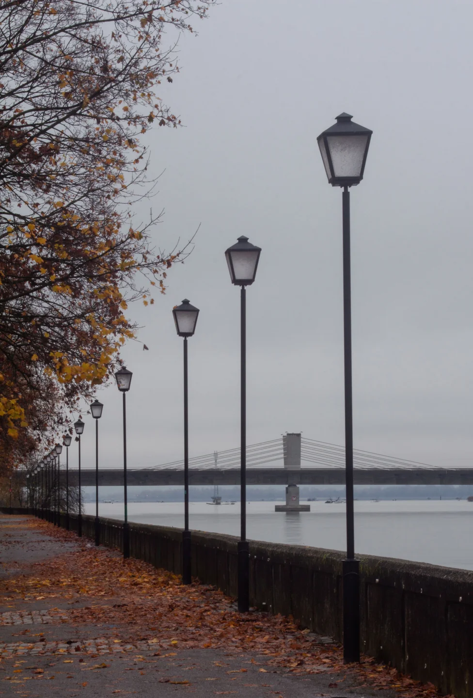 Autumn lamps on Ptuj’s Drava promenade with Puhov bridge beyond
