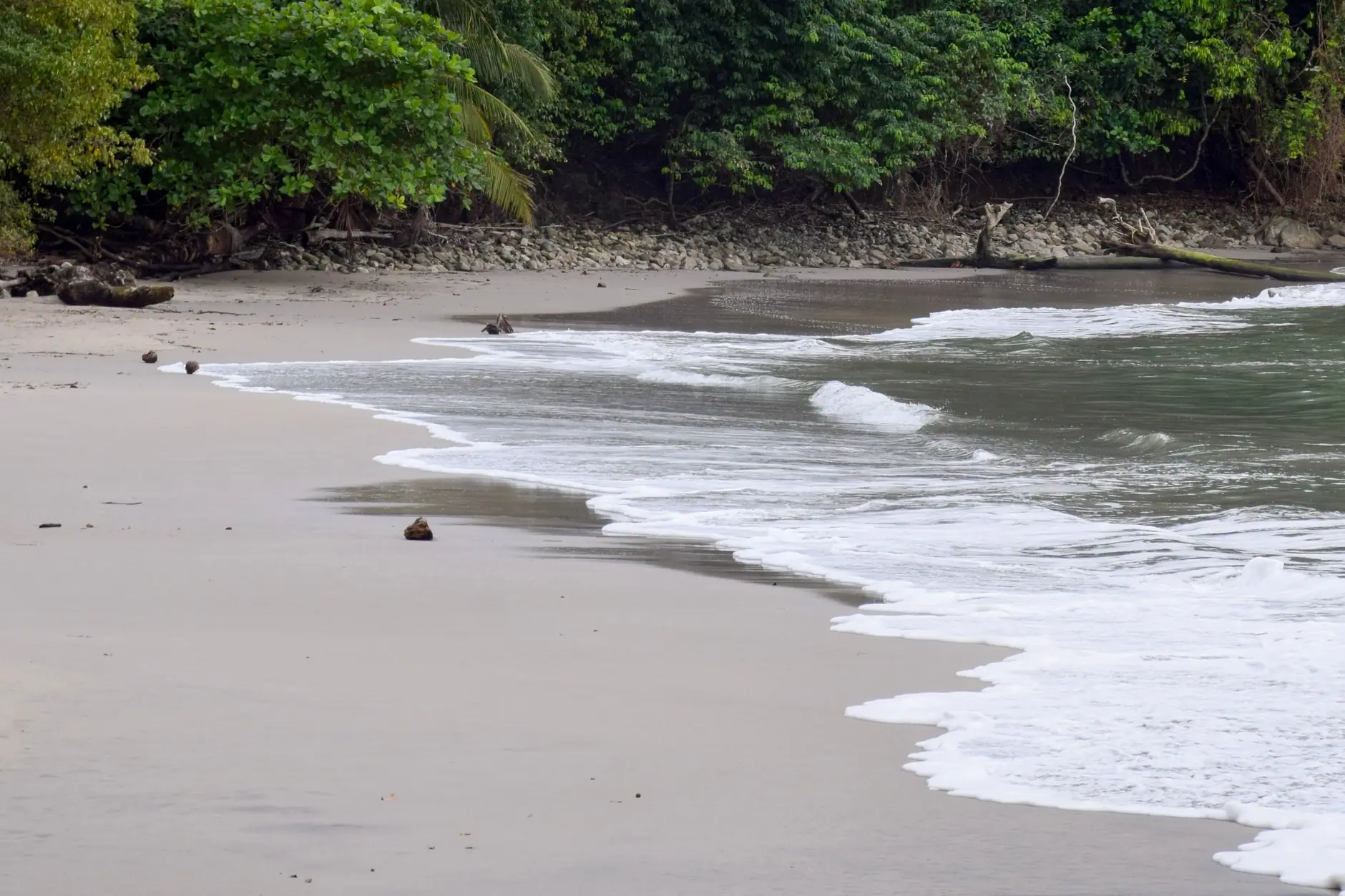 Pale sand, a wooded shore and breaking waves on the Quepos coast