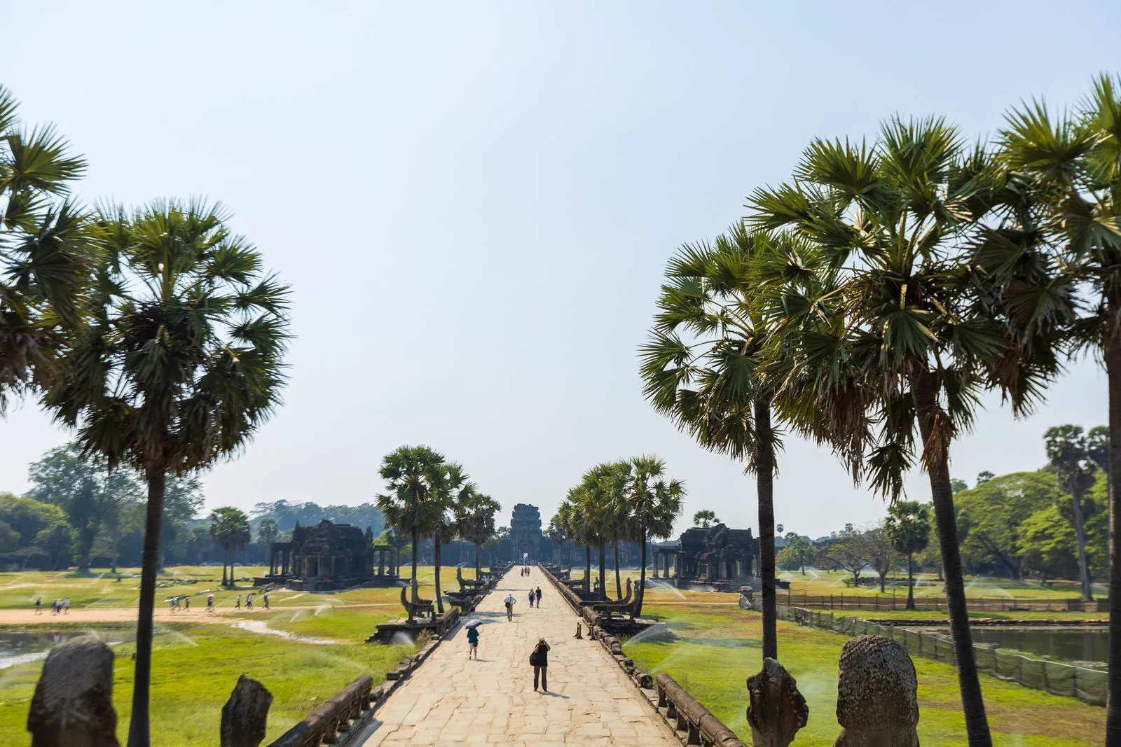 The palm-lined approach to Angkor Wat in Siem Reap.