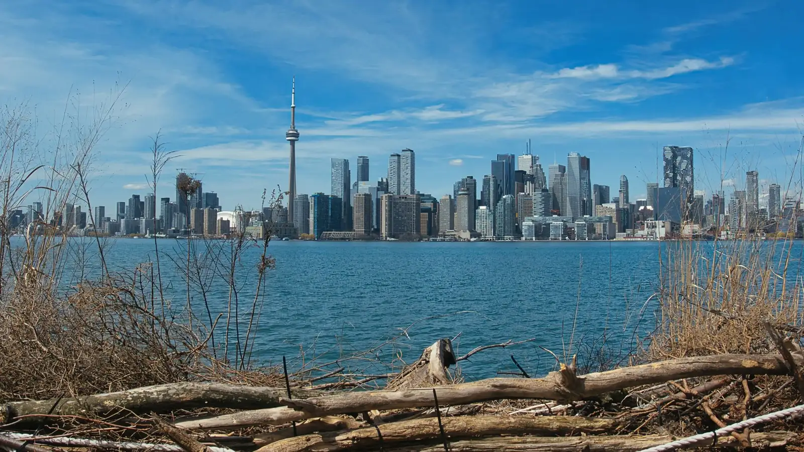 Toronto’s CN Tower and downtown skyline viewed across the harbour from a natural shoreline