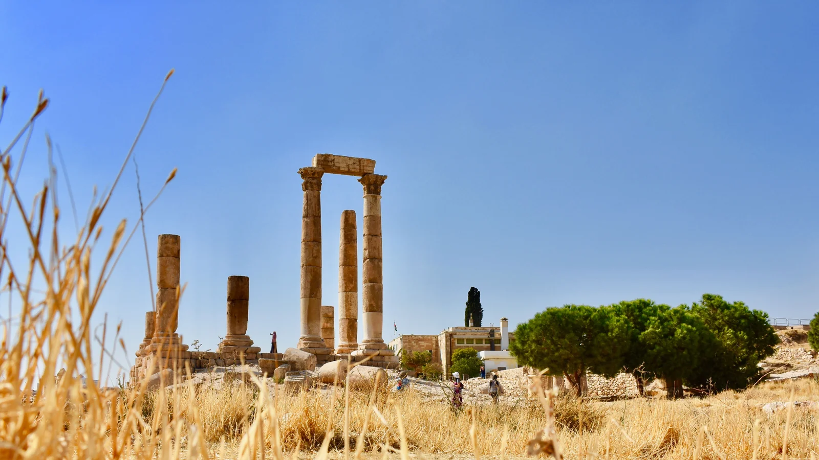 The paired stone columns of the Temple of Hercules at Amman Citadel, with dry grasses and blue sky.